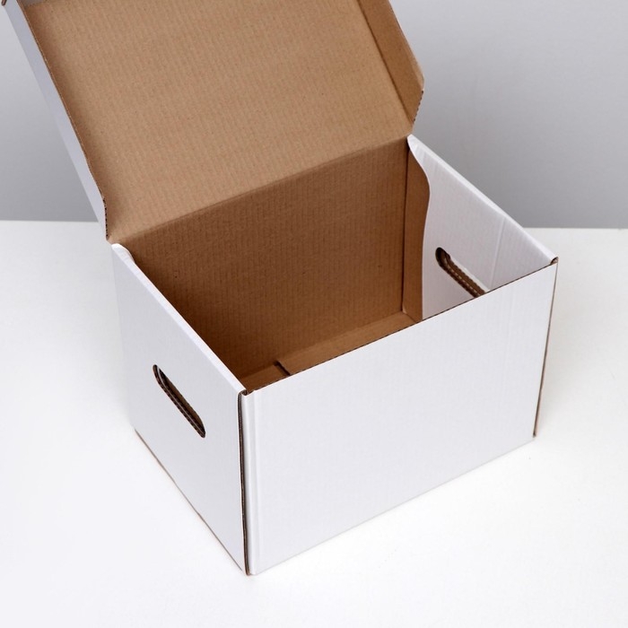 Коробка для хранения Коробка для хранения "А4", белая, 32,5 x 23,5 x 23,5