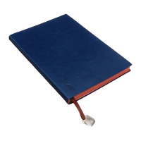 Органайзер на кольцах, А5, 116л, клетка, обл.кожзам, коричневый срез, Синий