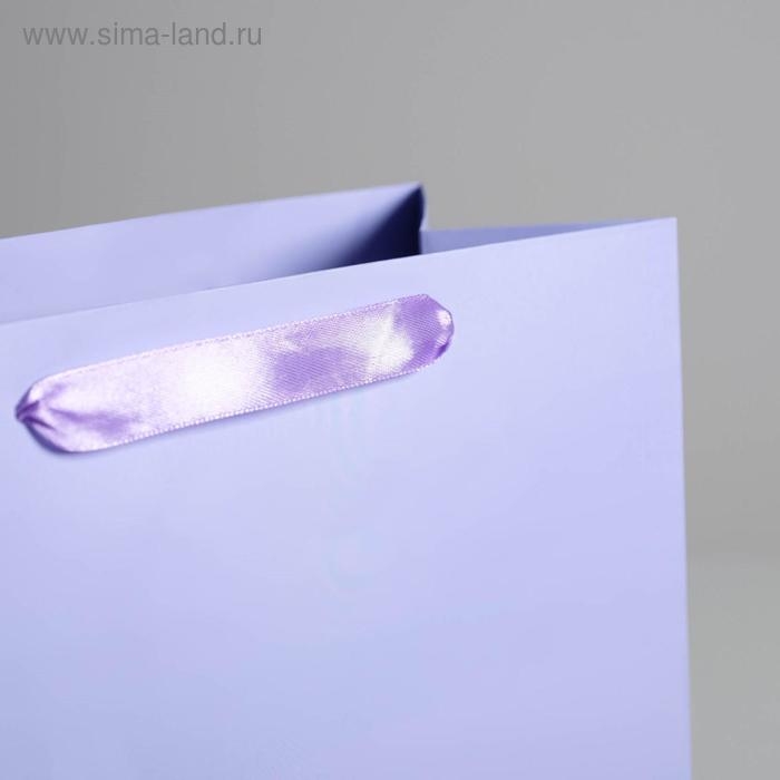 Пакет подарочный, упаковка, «Сиреневый», 26 х 32 х 12 см Пакет подарочный, упаковка, «Сиреневый», 26 х 32 х 12 см