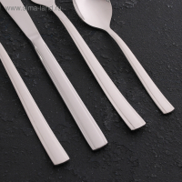 Набор столовый &laquo;Торжество&raquo;, толщина 2 мм, декоративная коробка, 48 предметов, цвет серебряный