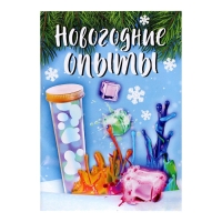 Набор для опытов &laquo;Новогодние опыты&raquo;