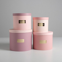 Набор шляпных коробок для цветов 4 в 1, упаковка подарочная, &laquo;Нежные тона&raquo;, 14 х 13 см - 20 х 17,5 см