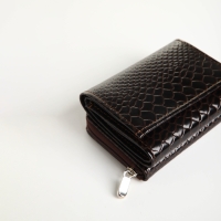 Кошелёк женский на молнии, цвет коричневый Кошелёк женский на молнии, цвет коричневый