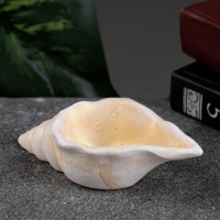 Фигурное кашпо "Ракушка" позолота, 13х6х3см Фигурное кашпо "Ракушка" позолота, 13х6х3см