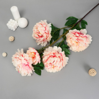 Цветы искусственные "Пион кустовой" 5 бутонов, 15х110 см, кремовый Цветы искусственные "Пион кустовой" 5 бутонов, 15х110 см, кремовый