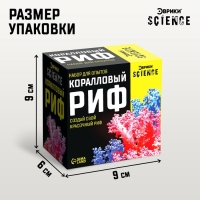 Набор для опытов &laquo;Коралловый риф&raquo;
