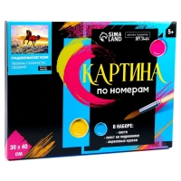 Картина по номерам на холсте с подрамником «Грациозный бег коня», 40 х 30 см Картина по номерам на холсте с подрамником «Грациозный бег коня», 40 х 30 см
