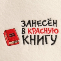 Шапка для бани "Занесен в красную книгу" экофетр Шапка для бани "Занесен в красную книгу" экофетр