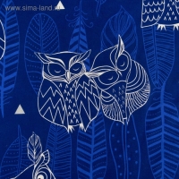 Постельное бельё "Этель" дуэт Ушастые совы (вид 3) 143 х 215 см - 2 шт., 220 х 240 см, 70 х 70 см - 2 шт