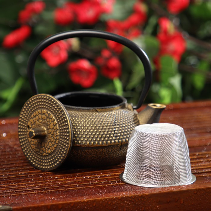 Чайник для плиты Доляна &laquo;Восточная ночь. Золото&raquo;, 300 мл, с ситом, чугун, индукция, цвет золотой