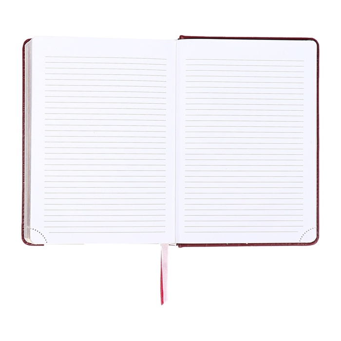 Ежедневник датированный 2025 B6 168 листов, deVENTE. Wild, твердая обложка кожзам с поролоном, перфорация, ляссе, блок 70, бордо