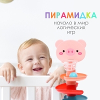 Развивающая пирамидка «Попади в корзину», 6 элементов, свинка Развивающая пирамидка «Попади в корзину», 6 элементов, свинка