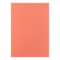 Бумага цветная А4, 50 листов, неоновая, 5 цветов, 80г/м2 Бумага цветная А4, 50 листов, неоновая, 5 цветов, 80г/м2