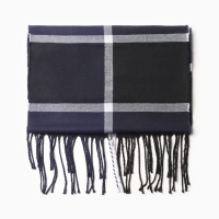 Шарф мужской, цвет синий/клетка, размер 31х170 Шарф мужской, цвет синий/клетка, размер 31х170