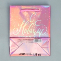 Пакет голографический &laquo;Нежность&raquo;, S 12 х 15 х 5.5 см, Новый год