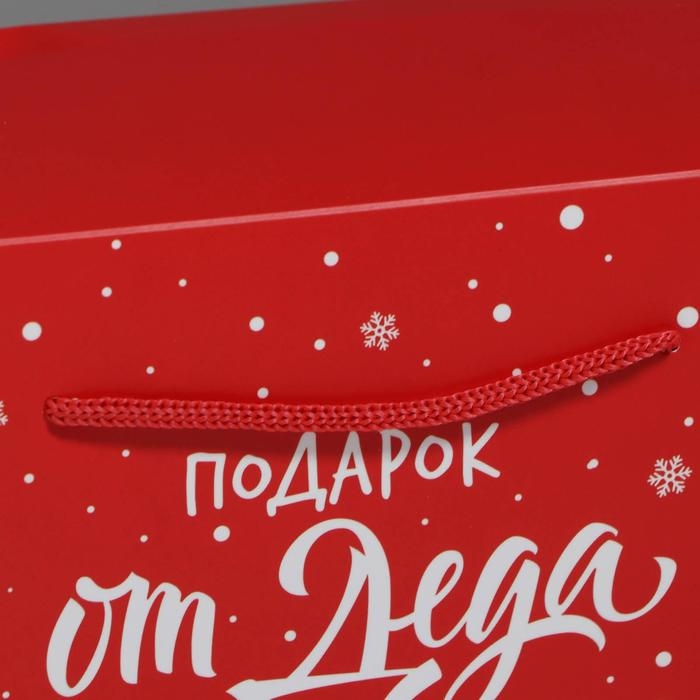 Пакет-коробка &laquo;Подарок&raquo;, 23 х 18 х 11 см