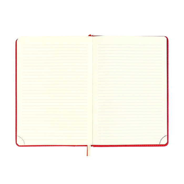 Ежедневник недатированный, A5 160 листов, кожзам, deVENTE. Klint, твердая обложка с поролоном, карман, ляссе, блок 70, красный