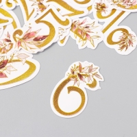 Наклейки для творчества "Цветочные цифры" тиснение золото набор 48 шт 9х7х0,8 см Наклейки для творчества "Цветочные цифры" тиснение золото набор 48 шт 9х7х0,8 см