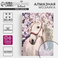 Алмазная мозаика с частичным заполнением и форменными стразами на холсте «Прекрасный конь», 30 х 40 см Алмазная мозаика с частичным заполнением и форменными стразами на холсте «Прекрасный конь», 30 х 40 см