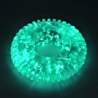 Игрушка для собак жевательная светящаяся в темноте &laquo;Шина&raquo;, 7 х 7 см