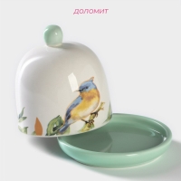 Лимонница Доляна &laquo;Флора и Фауна&raquo;, 9&times;9 см, цвет белый