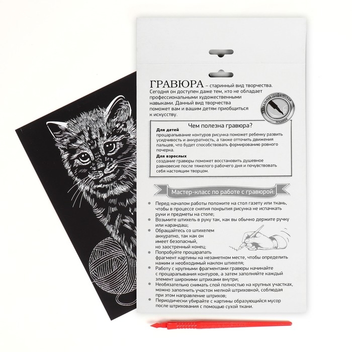 Гравюра &laquo;Кошечка&raquo; с металлическим эффектом &laquo;серебро&raquo; А5