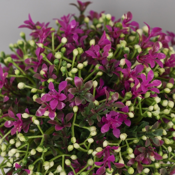 Бонсай в горшке "Бувардия галант" 17х10 см, микс