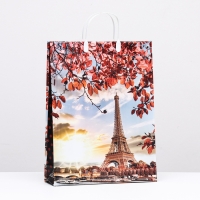 Пакет "Закат", мягкий пластик, 42х32 см 100 мкм Пакет "Закат", мягкий пластик, 42х32 см 100 мкм