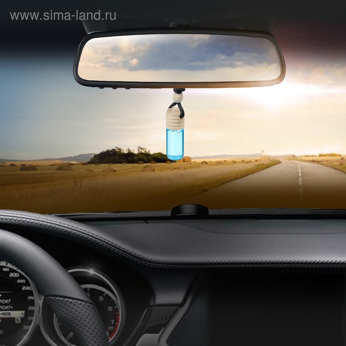 Ароматизатор в бутылочке «Новая машина» Ароматизатор в бутылочке «Новая машина»