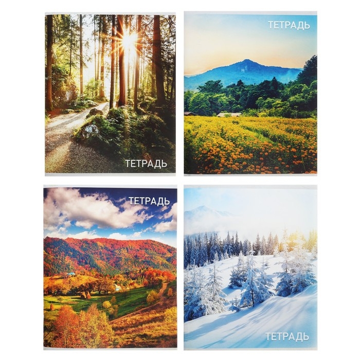 Тетрадь 96 листов в клетку Calligrata Тетрадь 96 листов в клетку Calligrata "Природа", обложка мелованный картон, блок №2, белизна 75% (серые листы), МИКС