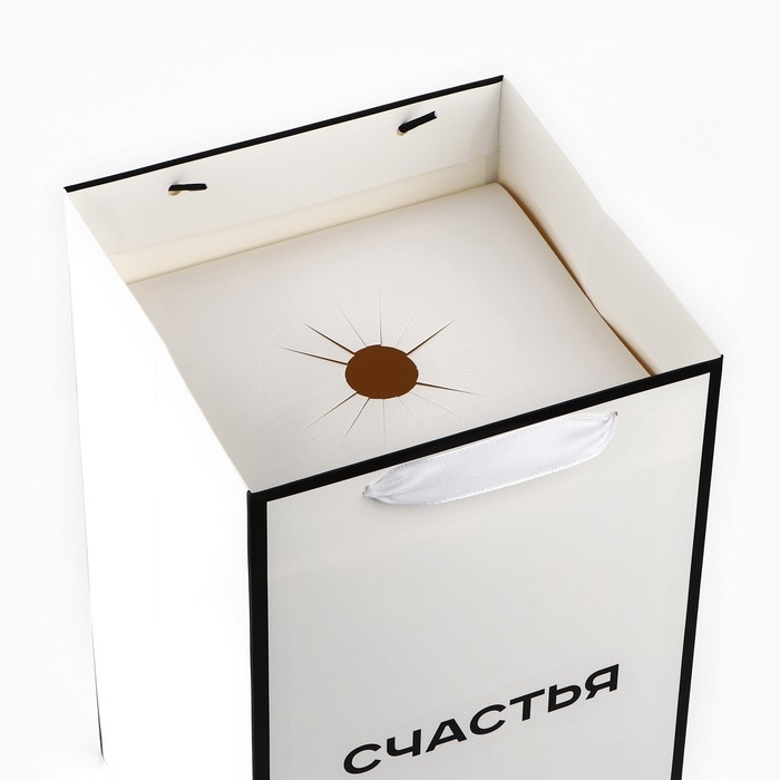 Переноска для цветов с вкладышем для фиксации, «Счастье», белый, 35 х 20 х 20 см Переноска для цветов с вкладышем для фиксации, «Счастье», белый, 35 х 20 х 20 см