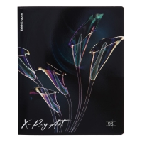 Тетрадь 96 листов в клетку, ErichKrause X-Ray Art, обложка мелованный картон, голографическая ламинация, блок офсет 100% белизна, МИКС Тетрадь 96 листов в клетку, ErichKrause X-Ray Art, обложка мелованный картон, голографическая ламинация, блок офсет 100% белизна, МИКС