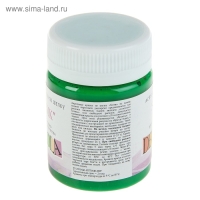 Краска по шелку "Батик", банка 50 мл, ЗХК Decola, Зеленая средняя 4428722 (акриловая на водной основе) Краска по шелку "Батик", банка 50 мл, ЗХК Decola, Зеленая средняя 4428722 (акриловая на водной основе)