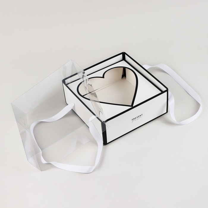 Коробка для цветов с формовым вкладышем и PVC крышкой «Present», 23.5 х 23.5 х 15 см Коробка для цветов с формовым вкладышем и PVC крышкой «Present», 23.5 х 23.5 х 15 см