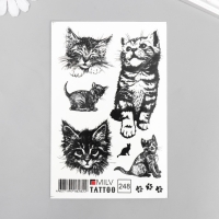 Татуировка на тело "Котята ч/б" 10х15 см Татуировка на тело "Котята ч/б" 10х15 см