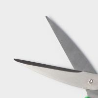 Ножницы кухонные Доляна &laquo;Помощник&raquo;, 19 см, цвет зелёный