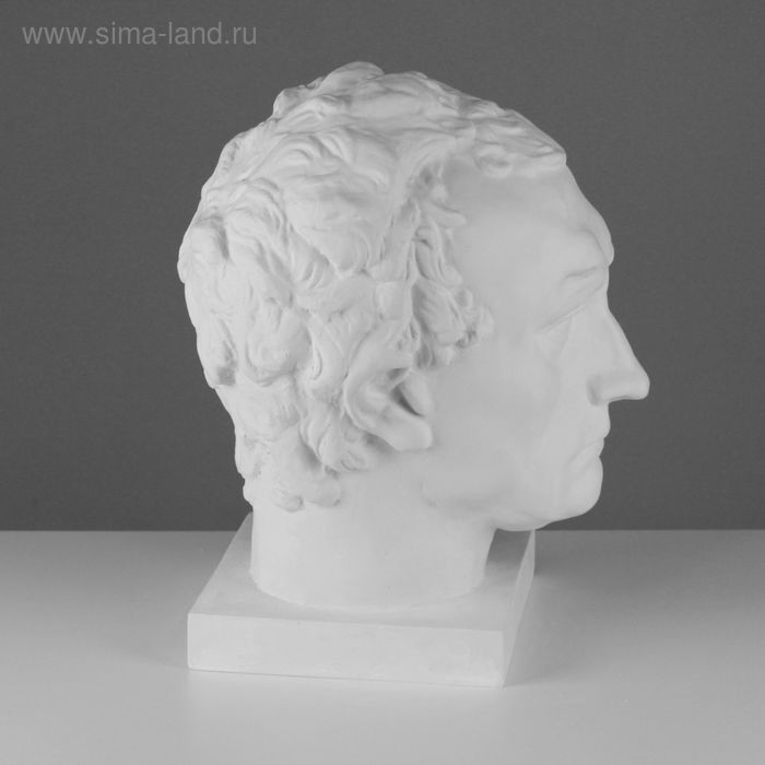 Гипсовая фигура Голова Гаттамелата, 26 х 33 х 40 см Гипсовая фигура Голова Гаттамелата, 26 х 33 х 40 см