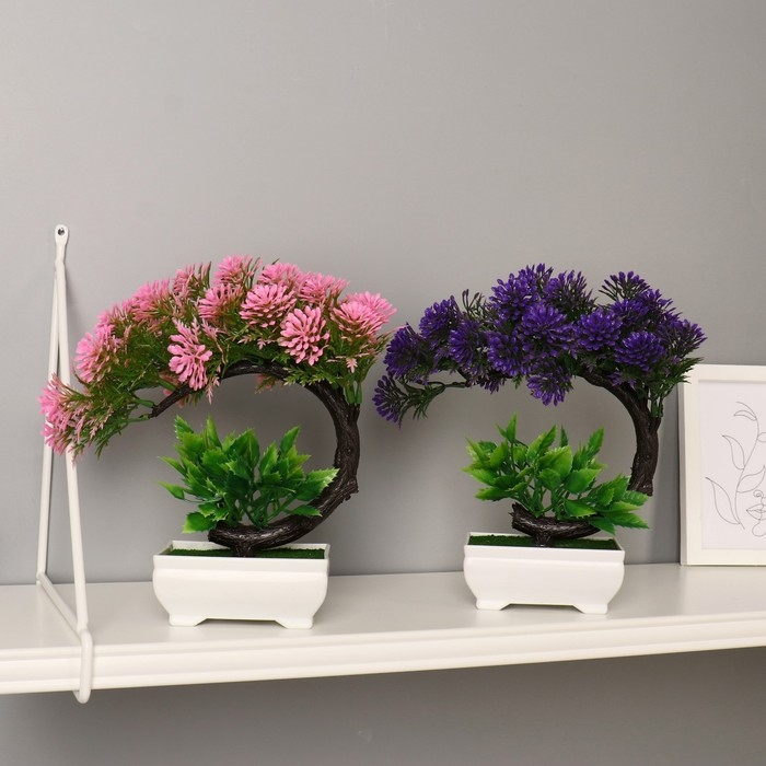 Бонсай в горшке "Селагинелла африканская" 10х20 см, микс