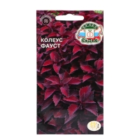 Семена цветов Колеус "Фаус", Евро, 0,1 г Семена цветов Колеус "Фаус", Евро, 0,1 г
