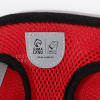 Шлейка дышащая с поводком и светоотражающей нашивкой, M, ОШ 33, ОГ 32-43, красная Шлейка дышащая с поводком и светоотражающей нашивкой, M, ОШ 33, ОГ 32-43, красная