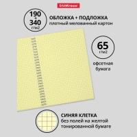 Тетрадь на спирали, 80 листов в клетку, ErichKrause Megapolis Yellow Concept, обложка мелованный картон, жёлтый внутренний блок