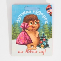Пакет подарочный новогодний ламинированный &laquo;Лучший подарок&raquo;, MS 18 х 23 х 10 см, Новый год