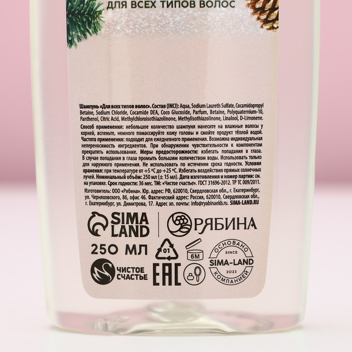 Подарочный набор косметики &laquo;С Новым Годом!&raquo;, гель для душа и шампунь для волос, 2 х 250 мл, ЧИСТОЕ СЧАСТЬЕ