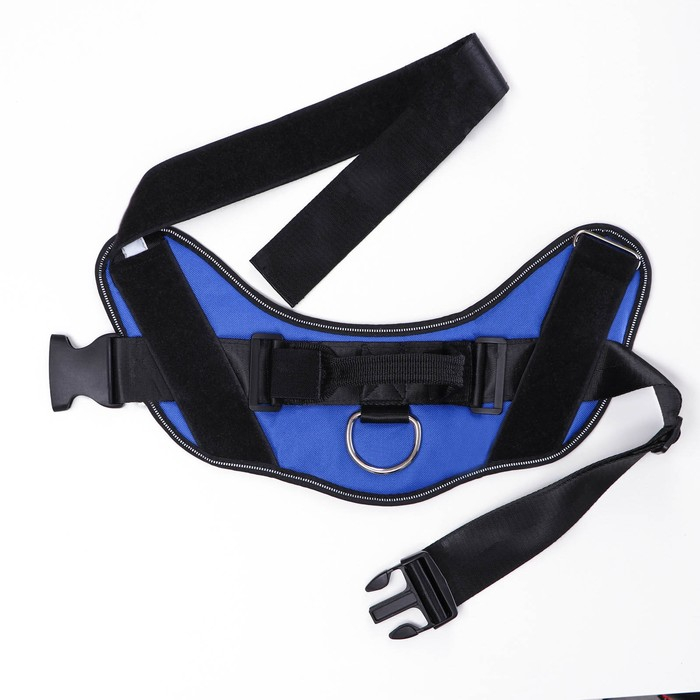 Шлейка К9 мягкая светоотражающая, размер M, ОГ 55-65 см, вес 11-20 кг, синяя Шлейка К9 мягкая светоотражающая, размер M, ОГ 55-65 см, вес 11-20 кг, синяя