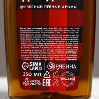 Подарочный набор косметики &laquo;Настоящему мужчине в Новый Год&raquo;, гель для душа и шампунь для волос, 2 х 250 мл, ЧИСТОЕ СЧАСТЬЕ