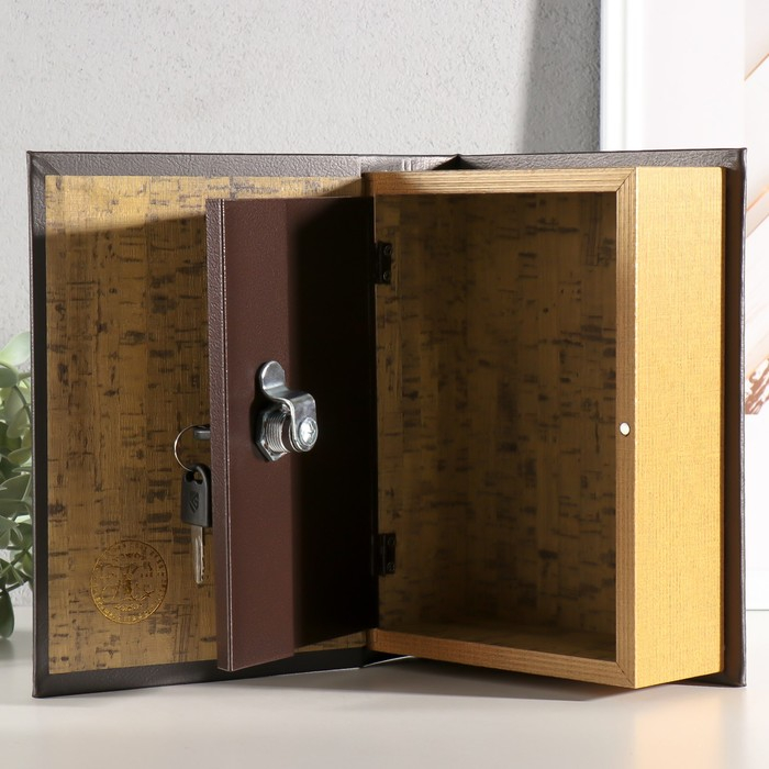 Сейф-книга "Доходы и сверхдоходы" 22х16х7 см