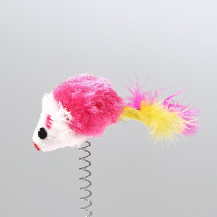 Дразнилка на основании Дразнилка на основании "Кошкина радость", 15 см, микс цветов