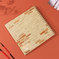 Фотоальбом на спирали 20 листов "Котики в окне" объёмный элемент + 4 вкладки 24х24 см