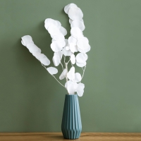 Сухоцвет персикого дерева, 50 г, длина &mdash; 70 см, цвет белый