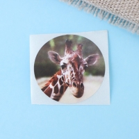 Наклейки в рулоне "Зверюшки",500 шт,2,5 х 2,5 см Наклейки в рулоне "Зверюшки",500 шт,2,5 х 2,5 см